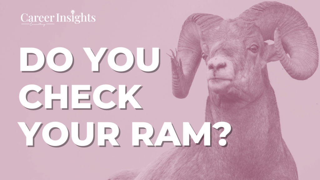 Do you check your ram